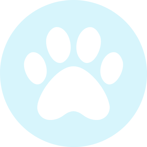 cat paw